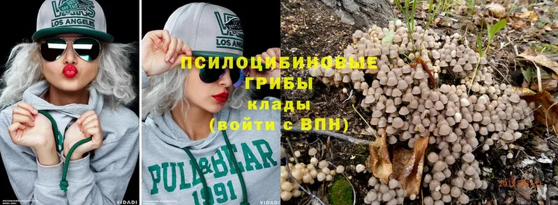 Галлюциногенные грибы Psilocybine cubensis  купить наркотики сайты  Ялта 